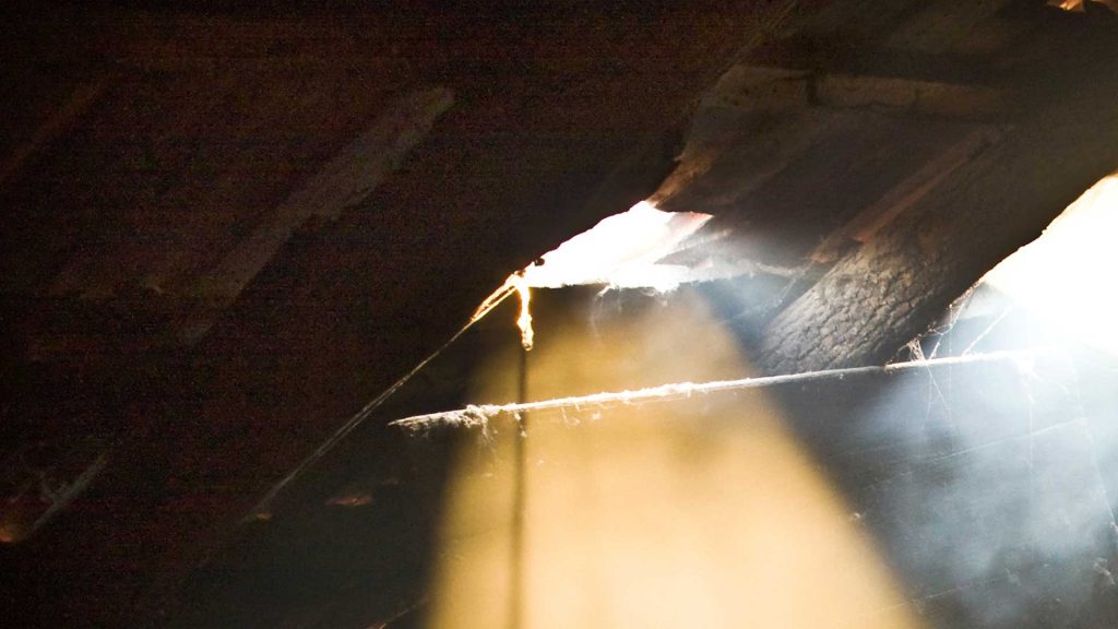 sunlight-roof-damage