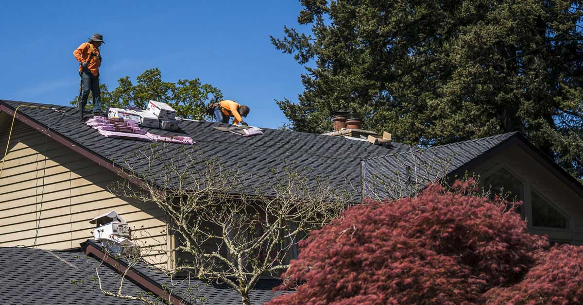 Installing shingles