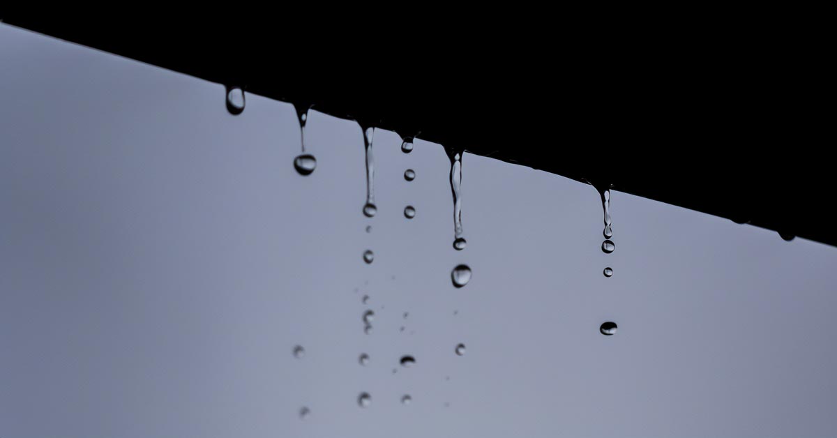 Water dripping off the roof and over gutter.