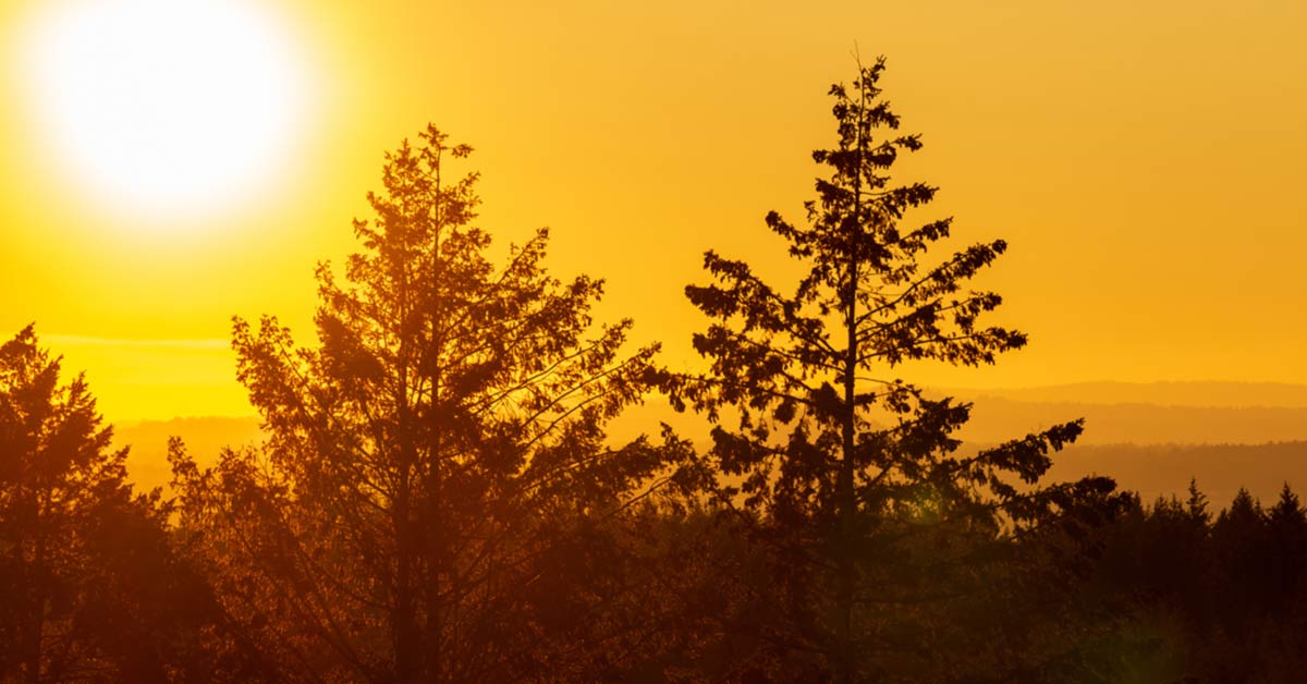 Sunset in Independence, OR