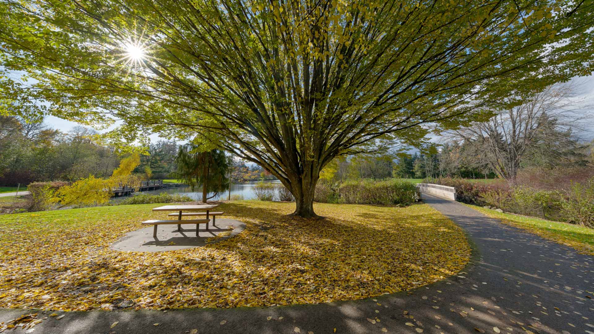Commonwealth Lake Park in Beaverton Oregon