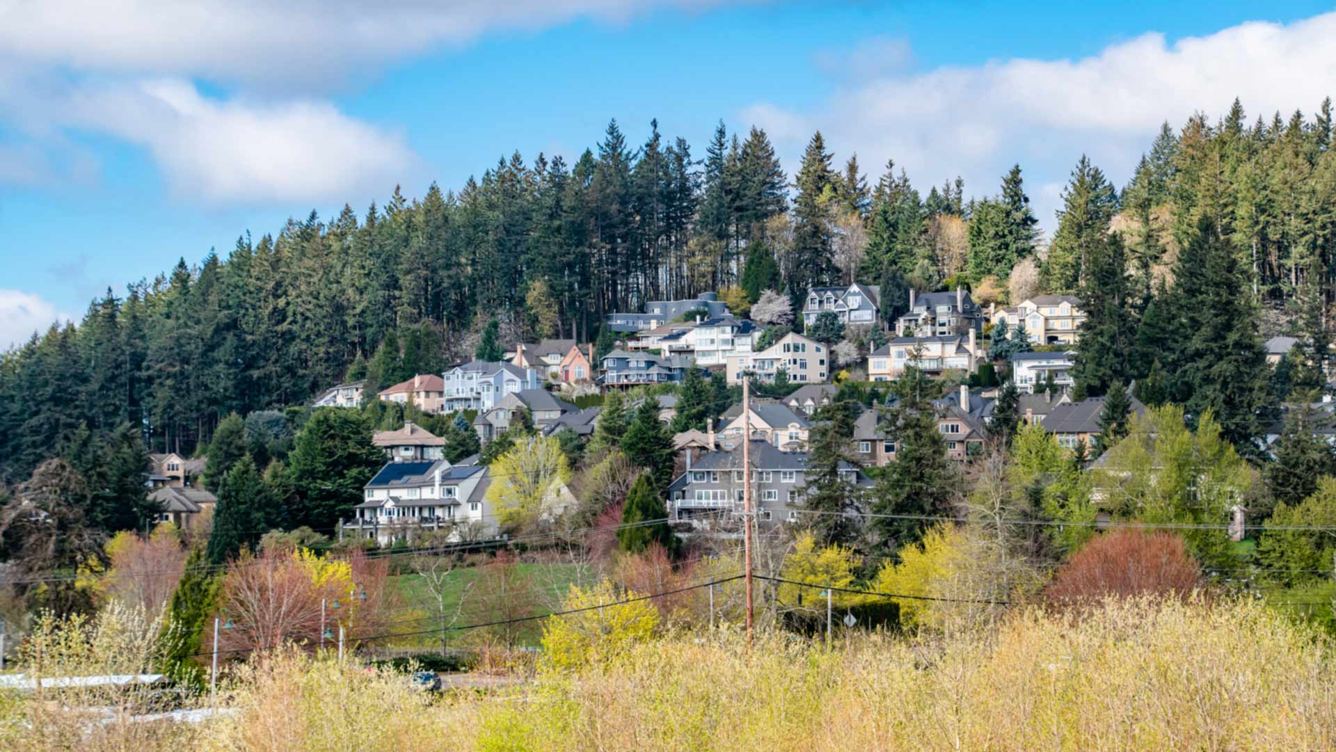 Lake Oswego Hillside
