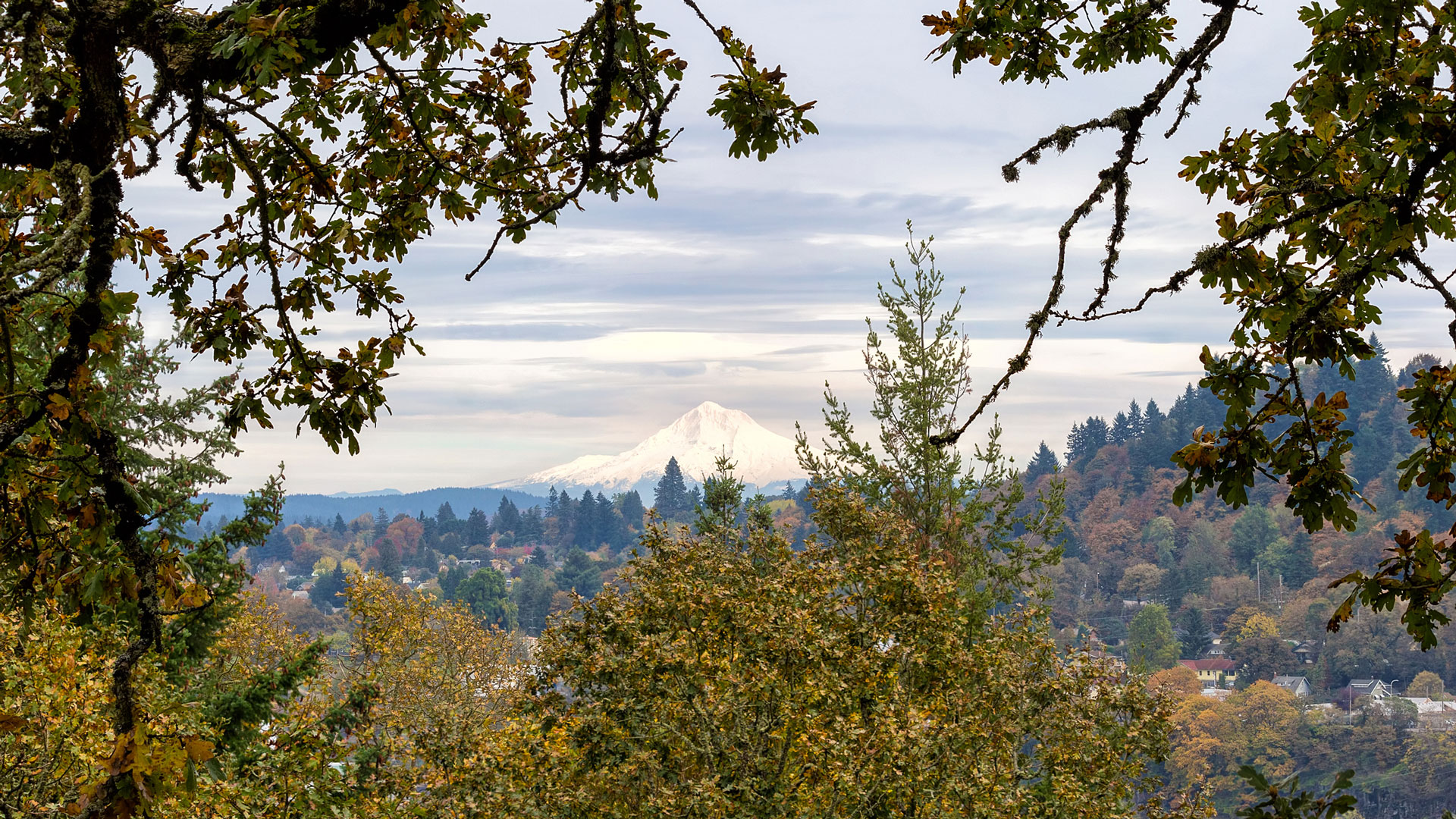 West Linn View
