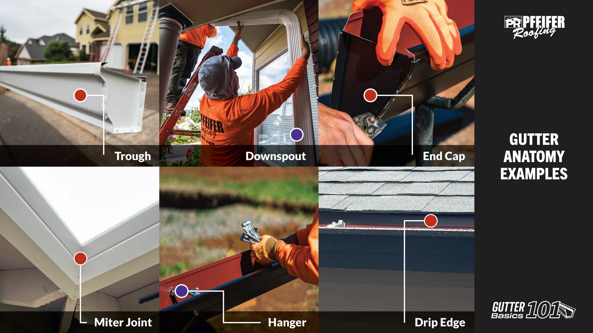 gutter anatomy examples