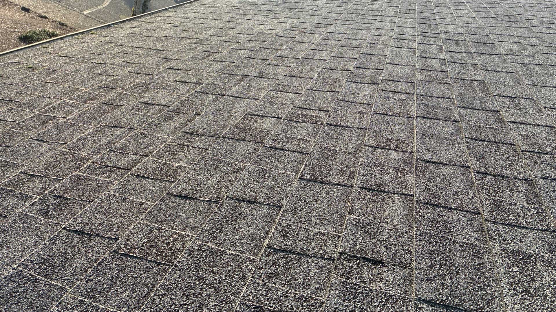 roof with catastrophic granule loss and exposed fiberglass