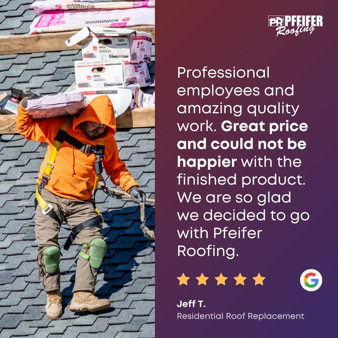 professional employees and amazing quality work