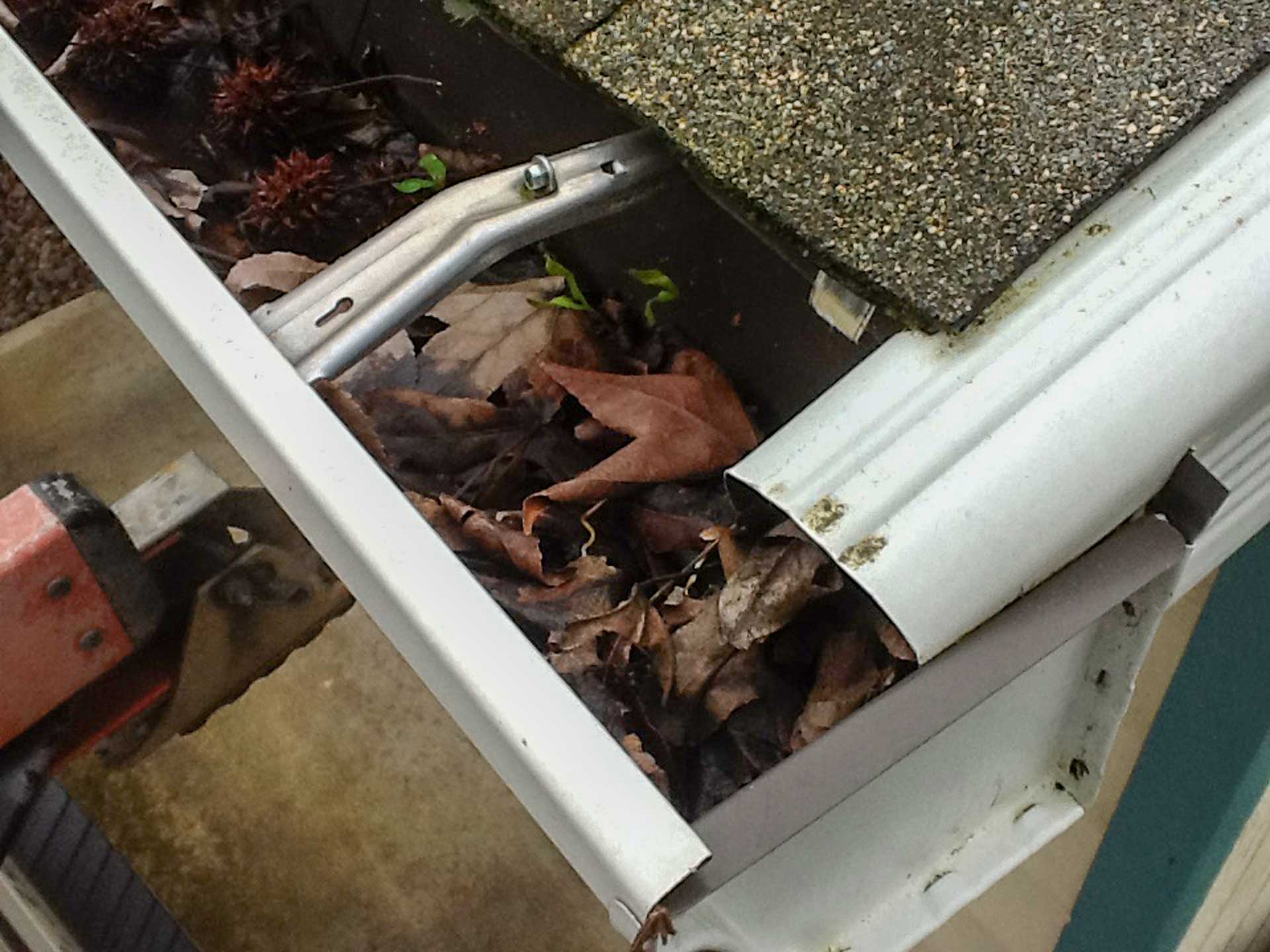 gutter leaves full