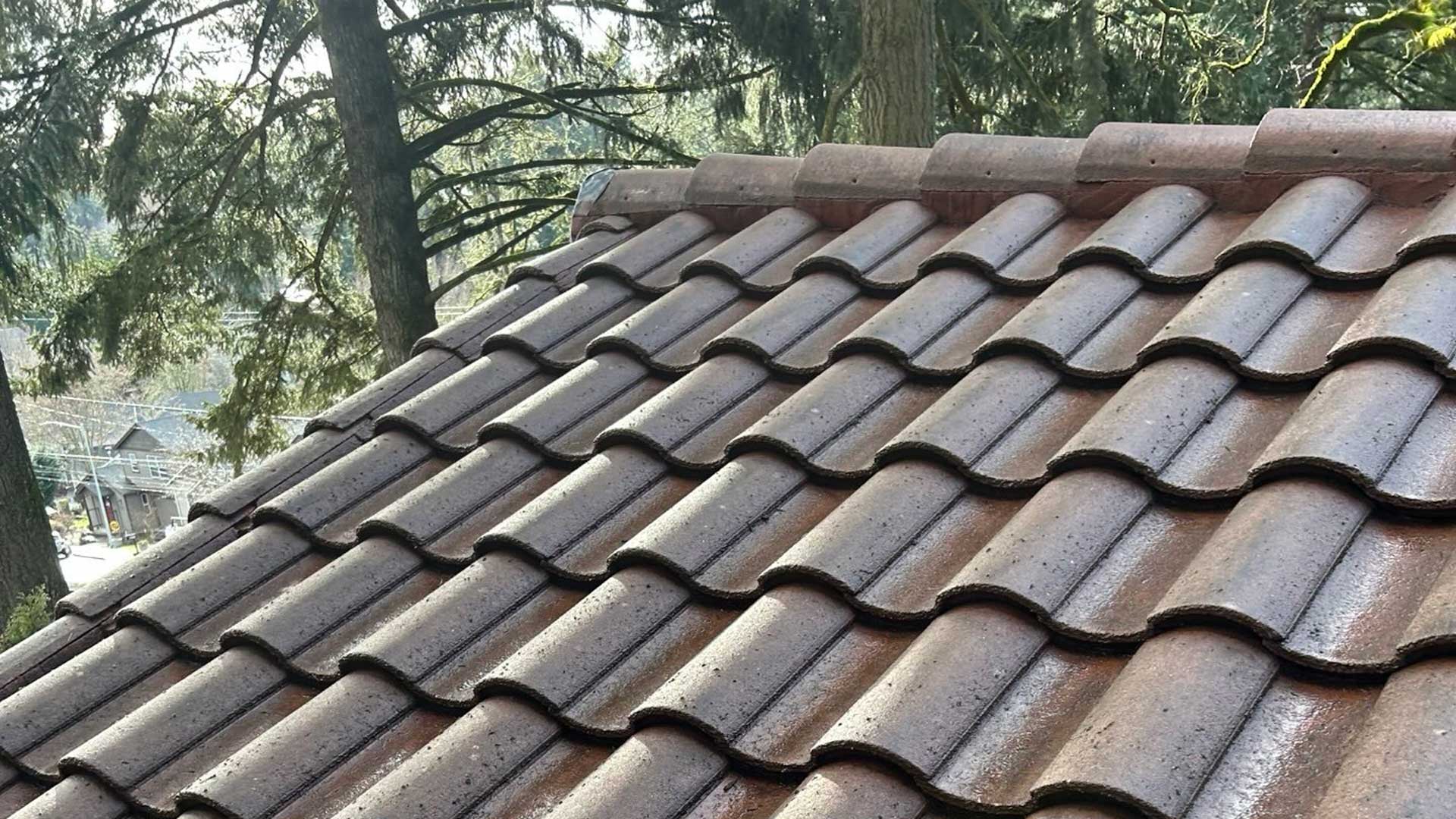 tile-roof-clean